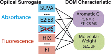 Graphical abstract: Critical review of fluorescence and absorbance measurements as surrogates for the molecular weight and aromaticity of dissolved organic matter