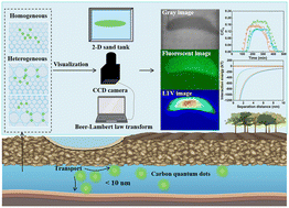 Graphical abstract: Real-time visualization of carbon quantum dot transport in homogeneous and heterogeneous porous media