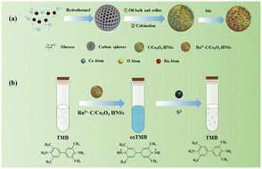 Graphical abstract: Hollow Co3O4 nanospheres modified with RuCl3 as peroxidase mimics for sensitive determination of sulfide ions at neutral pH