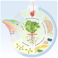 Graphical abstract: Tailoring nanomaterials towards global One Health: a promising nano-strategy against antibiotic resistance