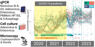 Graphical abstract: Pathogen and indicator trends in southern Nevada wastewater during and after the COVID-19 pandemic