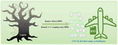 Graphical abstract: Catalytic hydrodeoxygenation and C–C coupling of lignin and its derivatives into renewable jet-fuel-range cycloalkanes