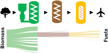 Graphical abstract: Opening pathways for the conversion of woody biomass into sustainable aviation fuel via catalytic fast pyrolysis and hydrotreating
