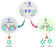 Graphical abstract: Recent advances in heterogeneous catalysts for biocrude hydrodeoxygenation