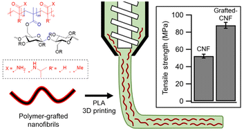 Graphical abstract: High-strength 3D printed poly(lactic acid) composites reinforced by shear-aligned polymer-grafted cellulose nanofibrils