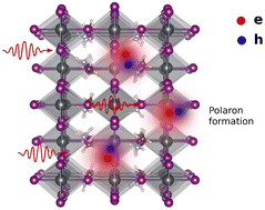 Graphical abstract: Exciton binding energies and polaron interplay in the optically excited state of organic–inorganic lead halide perovskites
