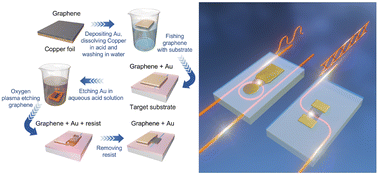 Graphical abstract: High efficiency graphene–silicon hybrid-integrated thermal and electro-optical modulators