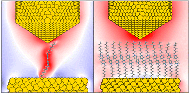 Graphical abstract: The near field response of molecules coupled with plasmons at atomistic resolution