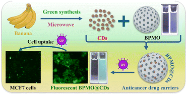 Graphical abstract: Biogenic fluorescent carbon dot-decorated mesoporous organosilica nanoparticles for enhanced bioimaging and chemotherapy