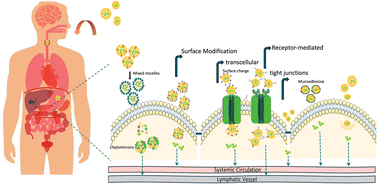 Graphical abstract: Lipid nanoparticles for enhancing oral bioavailability