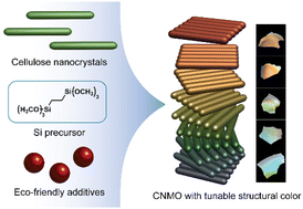 Graphical abstract: Controlling the optical properties of chiral nematic mesoporous organosilica films with bioadditives