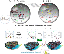 Graphical abstract: Conduction band photonic trapping via band gap reversal of brookite quantum dots using controlled graphitization for tuning a multi-exciton photoswitchable high-performance semiconductor