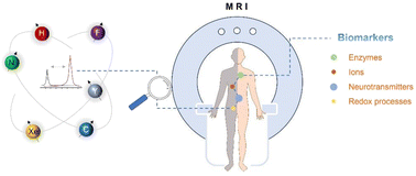 Graphical abstract: The role of responsive MRI probes in the past and the future of molecular imaging