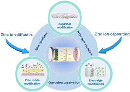 Graphical abstract: Electrode process regulation for high-efficiency zinc metal anodes
