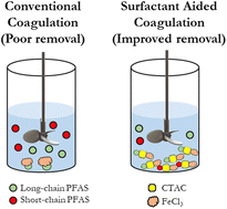 Graphical abstract: Surfactant-enhanced coagulation and flocculation improves the removal of perfluoroalkyl substances from surface water