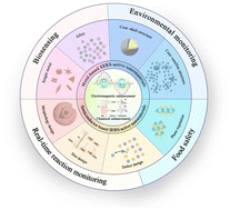 Graphical abstract: Metallic and semiconductor nanomaterials for surface-enhanced Raman spectroscopy