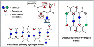 Graphical abstract: Examining intermolecular interactions in crystal structures of amide-substituted 2-aminopyrimidine derivatives