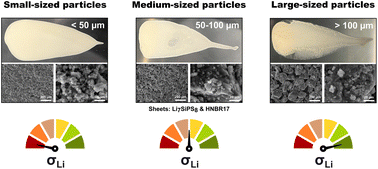 Graphical abstract: Effect of particle size on the slurry-based processability and conductivity of t-Li7SiPS8