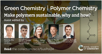 Graphical abstract: Introduction to “Make polymers sustainable, why and how?”