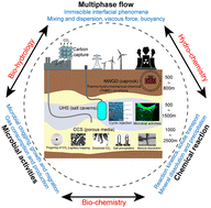 Graphical abstract: Advancing sustainable energy solutions with microfluidic porous media