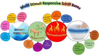 Graphical abstract: Chromic Schiff bases: transformative stimuli-responsive systems for next-generation soft materials