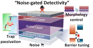 Graphical abstract: Specific detectivity-oriented low-noise management in organic photodetectors