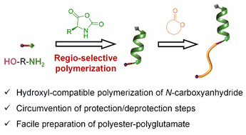 Graphical abstract: Facile preparation of polyester–polyglutamate diblock copolymers through regioselective polymerization of N-carboxyanhydride