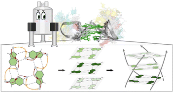 Graphical abstract: Elucidating the solution structure of the monomolecular BCL2 RNA G-quadruplex: a new robust NMR assignment approach