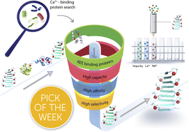 Graphical abstract: Mining peptides for mining solutions: evaluation of calcium-binding peptides for rare earth element separations