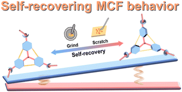 Graphical abstract: Intramolecular tension-driven self-recovering mechanochromism in organic microcrystals