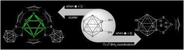 Graphical abstract: Cluster versus coordination: the chemistry of cyclopentadienyl titanium and vanadium complexes with B- and C-functionalized carborane-thiols, [C2B10H12−n(SH)n] (n = 2 or 3)