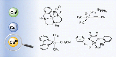 Graphical abstract: A reflection on recent advances in organometallic copper(iii) chemistry