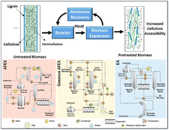 Graphical abstract: Advancements in ammonia-based pretreatment: key benefits and industry applications