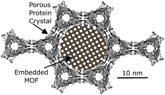 Graphical abstract: Deposition of metal–organic frameworks within a porous protein crystal superstructure