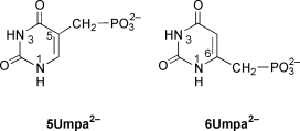 Graphical abstract: Comparison of the acid–base properties of 5- and 6-uracilmethylphosphonate (5Umpa2− and 6Umpa2−) and some related compounds. Evidence for intramolecular hydrogen-bond formation in aqueous solution between (N1)H and the phosphonate group of 6Umpa2−