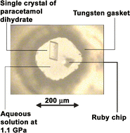 Graphical abstract: High-pressure recrystallisation—a route to new polymorphs and solvates