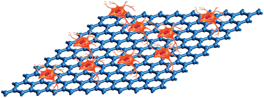 Graphical abstract: Graphene and its derivatives for cell biotechnology