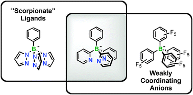 Graphical abstract: The elusive tripodal tris(2-pyridyl)borate ligand: a strongly coordinating tetraarylborate