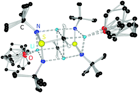 Graphical abstract: Polyimido sulfur anions and ylides