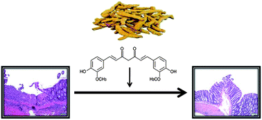 Graphical abstract: Curcumin, an active component of turmeric in the prevention and treatment of ulcerative colitis: preclinical and clinical observations