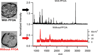 Graphical abstract: Fluorinated liquid-enabled protein handling and surfactant-aided crystallization for fully in situ digital microfluidic MALDI-MS analysis