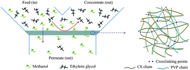 Graphical abstract: UV-crosslinked chitosan/polyvinylpyrrolidone blended membranes for pervaporation