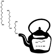 Graphical abstract: Oligomerisation reactions of beta substituted thiols in water