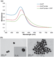 Graphical abstract: A colorimetric homogeneous immunoassay system for the C-reactive protein