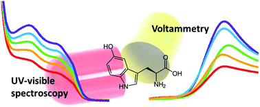 Graphical abstract: Analysis of 5-hydroxytryptophan in the presence of excipients from dietary capsules: comparison between cyclic voltammetry and UV visible spectroscopy