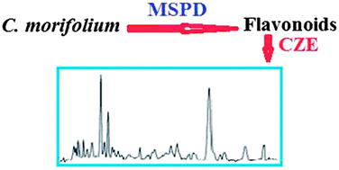 Graphical abstract: Matrix solid phase dispersion extraction for determination of flavonoids in the flower of Chrysanthemum morifolium Ramat. by capillary zone electrophoresis