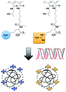 Graphical abstract: Comparative study of guanidine-based and lysine-based brush copolymers for plasmid delivery