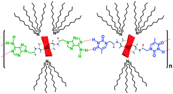 Graphical abstract: A processable hybrid supramolecular polymer formed by base pair modified polyoxometalate clusters
