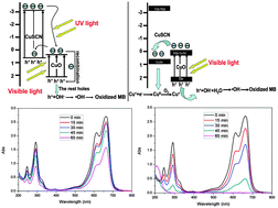 Graphical abstract: CuO/CuSCN valence state heterojunctions with visible light enhanced and ultraviolet light restrained photocatalytic activity