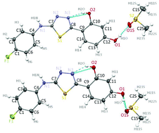 Graphical abstract: On polymorphism of 2-(4-fluorophenylamino)-5-(2,4-dihydroxybenzeno)-1,3,4-thiadiazole (FABT) DMSO solvates